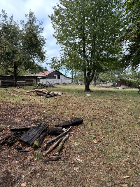Campo en Los Guindos