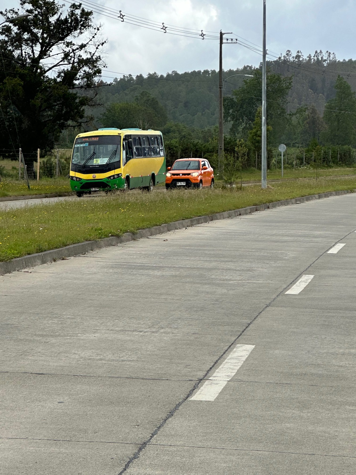Camino a Paillao Camino a Paillao