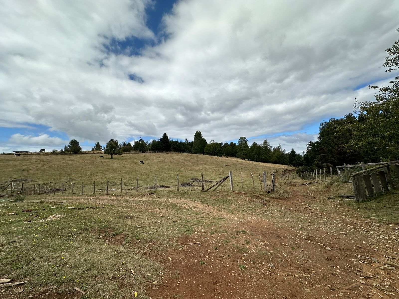 Campo en Los GuindosCampo en Los Guindos