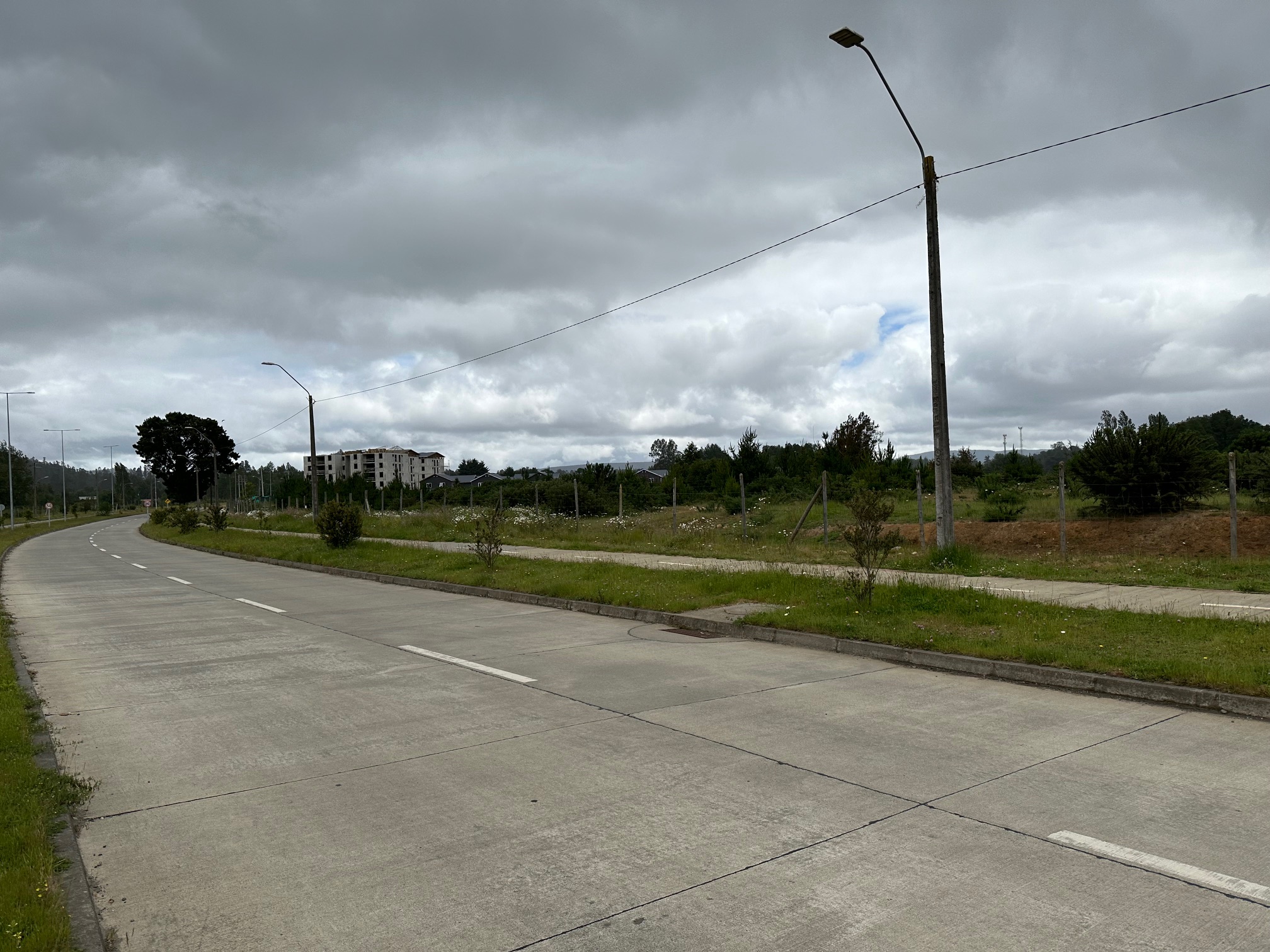 Camino a Paillao Camino a Paillao