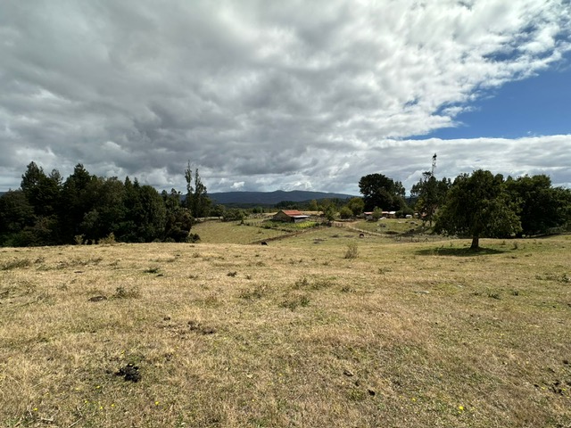 Campo en Los Guindos