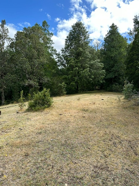 Campo en Los Guindos