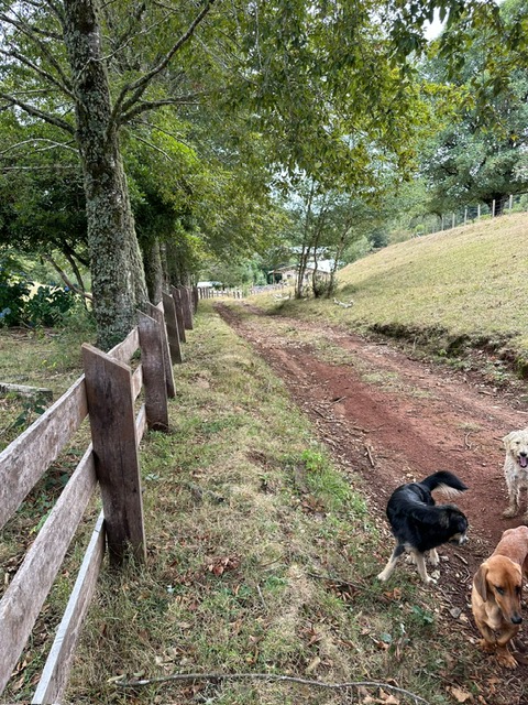 Campo en Los Guindos