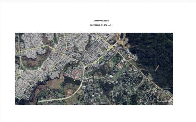 Camino a Paillao, a 6 km del centro de Valdivia.